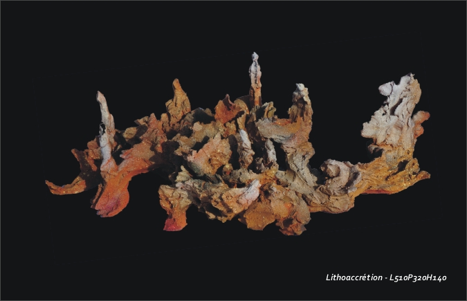 lithoaccretion