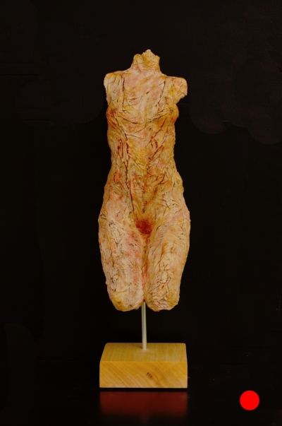 venus 08