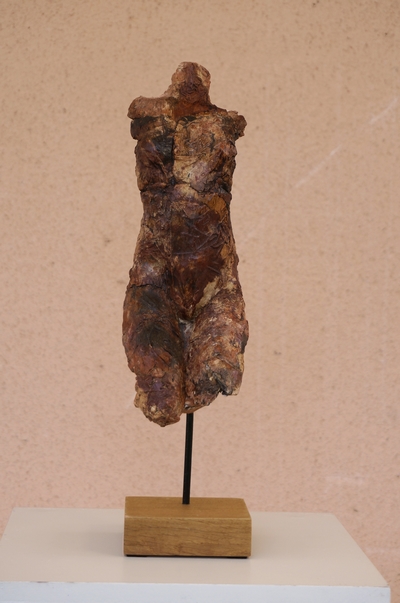 venus 10