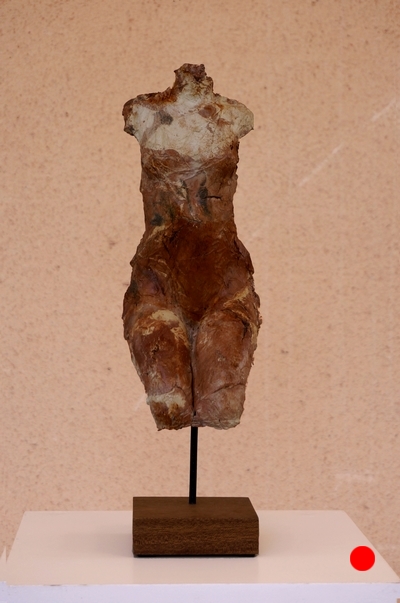 venus 11