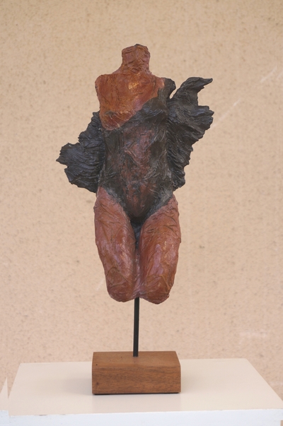 venus 12