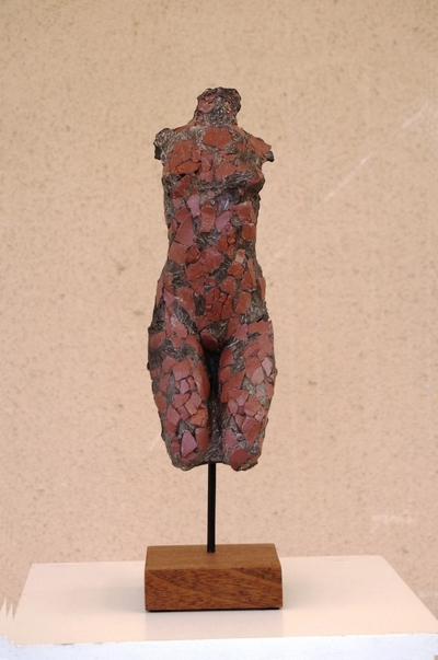 venus 13
