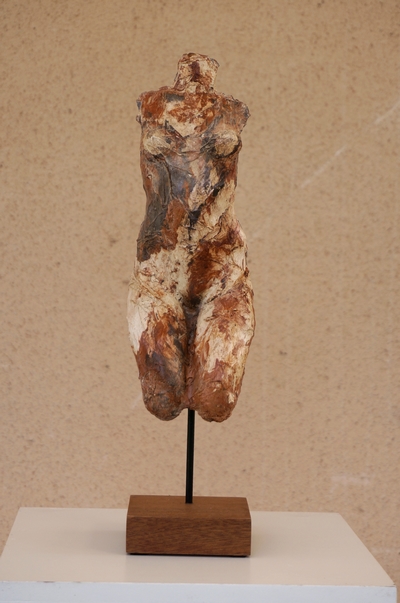 venus 14