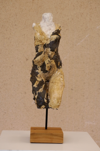venus 15