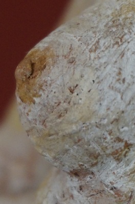 diaporamaAteliers094.jpg