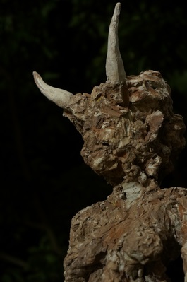 diaporamaForet01.jpg