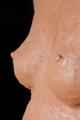 diaporamaHopper17.jpg