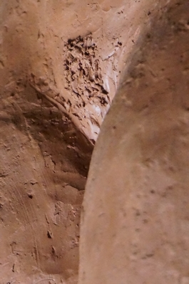 diaporamaLiberte14.jpg