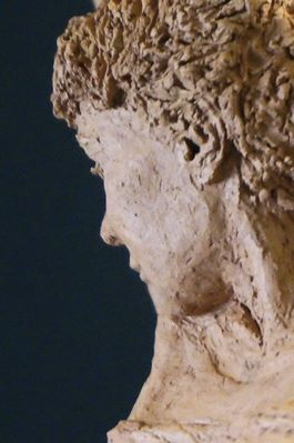 diaporamaLiberte21.jpg