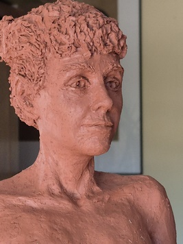 diaporamaLiberte43.jpg