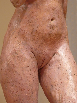 diaporamaRosae04.jpg