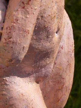 diaporamaRosae09.jpg
