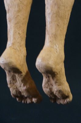 diaporamaLiberte007.jpg